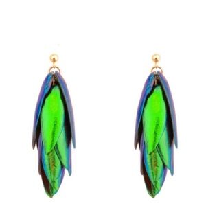 NWT Beetle Earrings Ball